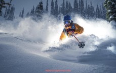 咪咕体育直播-健身器材促销活动简报及使用注意事项